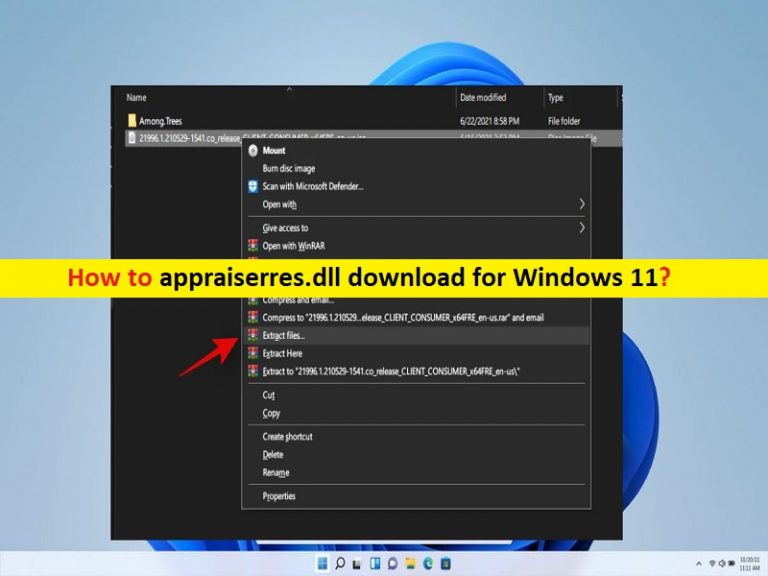 So laden Sie appraiserres.dll für Windows 11 herunter [Schritte] – PC Transformation