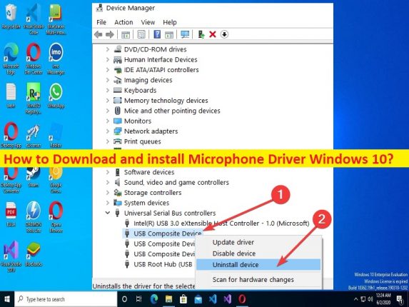 Download or reinstall Microphone