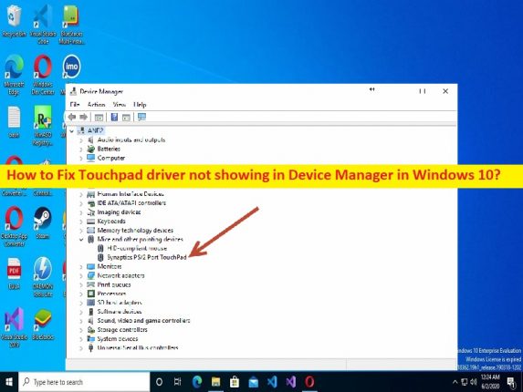 Touchpad driver not showing