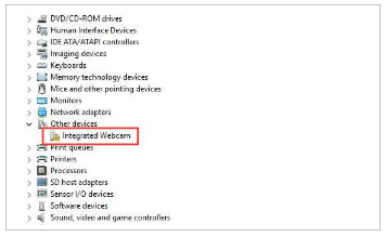 Dell integrated webcam driver