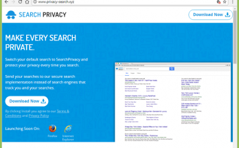 remove Private-search.xyz
